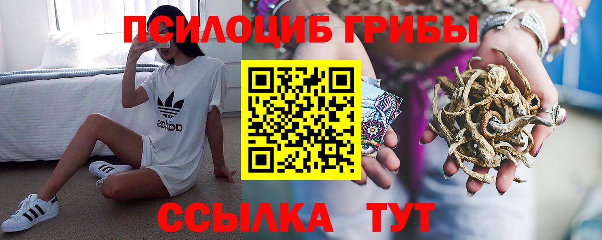 Псилоцибиновые грибы Psilocybine cubensis  Галлюциногенные грибы GOLDEN TEACHER  Лабытнанги  Вход с VPN 
