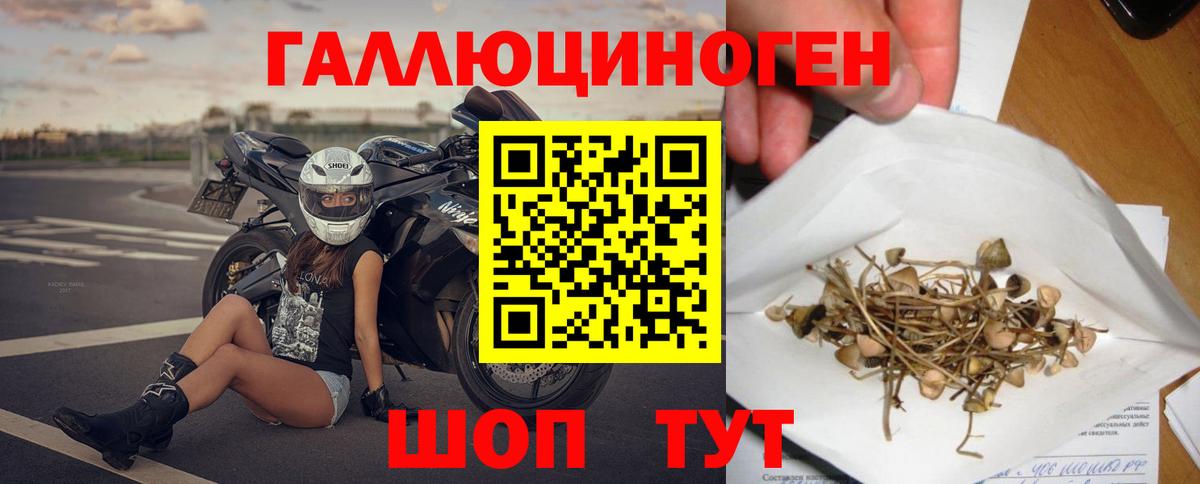 Галлюциногенные грибы мицелий Лабытнанги